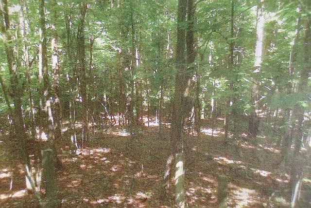 2nd image of 8431 Fortson Rd