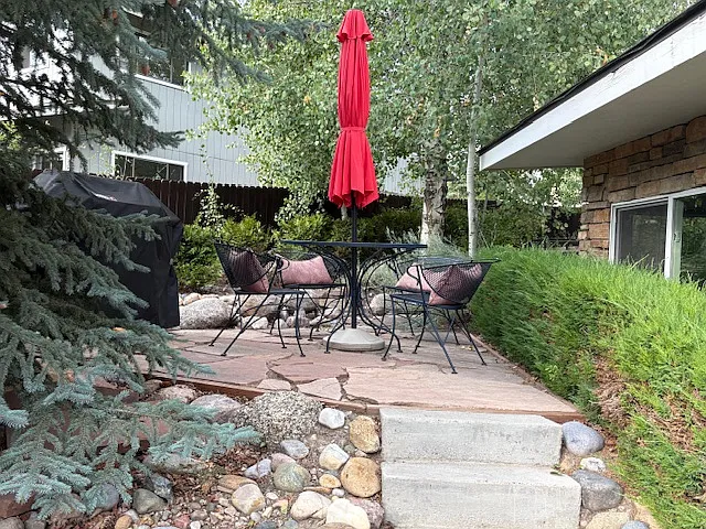 Patio and BBQ