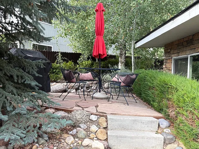 Patio and BBQ