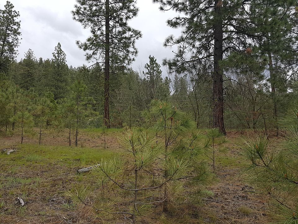 2nd image of 1356 Upland Way