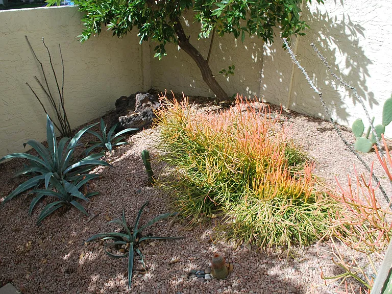 1802 E Frier Dr #1 — Photo 6