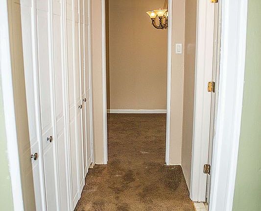 3rd image of 113 Fane Ct