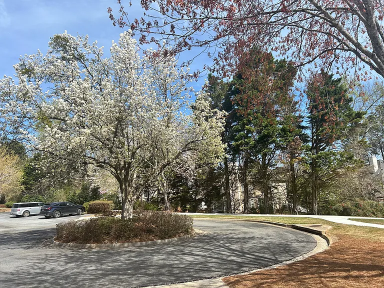 Beautifully landscaped community area with walking path, conveniently located near the subdivision playground and 2 minutes walk from this house!