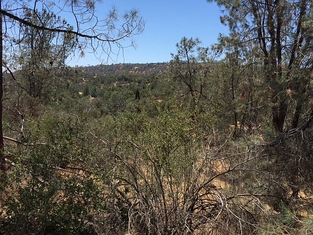 1st image of Corral Drive  - Lot #1220