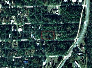 0 NE 203rd Pl, Fort Mc Coy, FL 32134