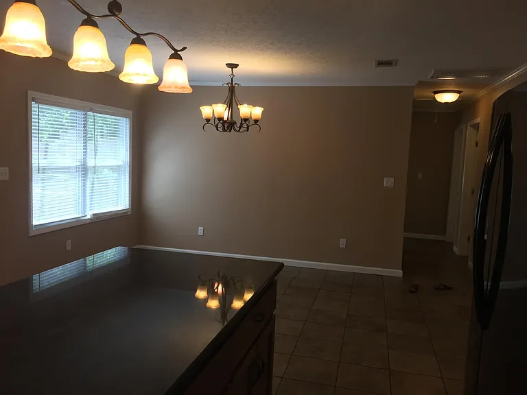 909 Whistler Ln — Photo 4