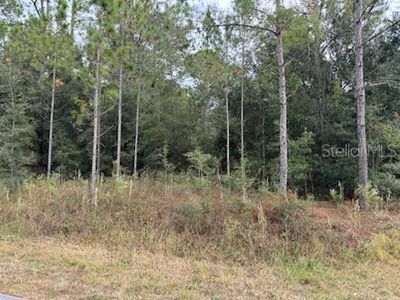 (Undisclosed Address), Dunnellon, FL, 34431