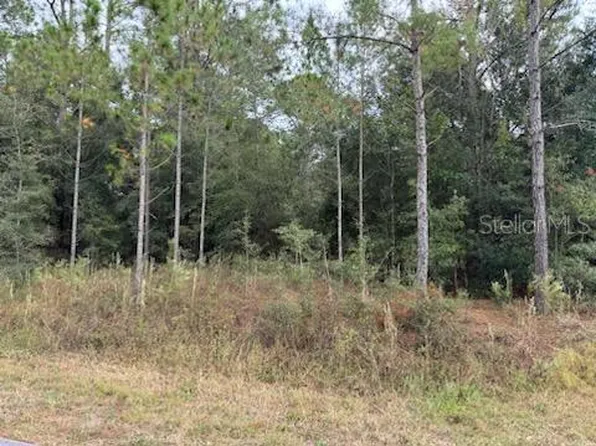 (undisclosed Address), Dunnellon, FL 34431