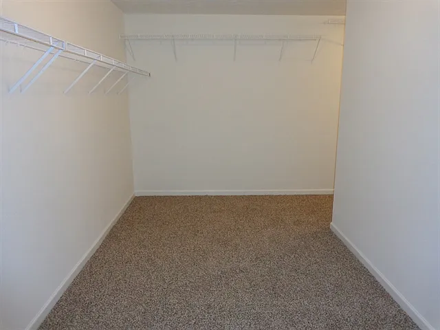 3661 Morinda Dr — Photo 19