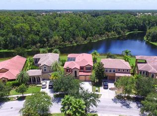 20329 Chestnut Grove Dr, Tampa, FL 33647