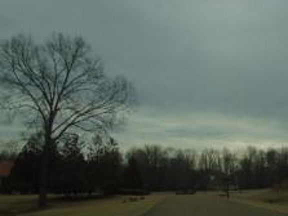 5th image of 11074 Silsbe Ln
