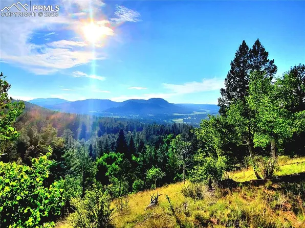 46 Alpine Dr, Cripple Creek, CO 80813