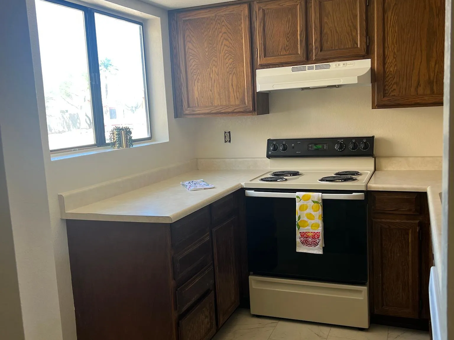 2 bed, 1000 sqft, $1,200 — Photo 4