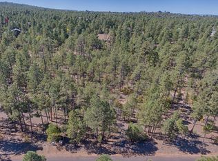 1840 S Bristle Cone Dr, Show Low, AZ 85901
