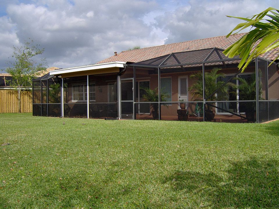 Back View