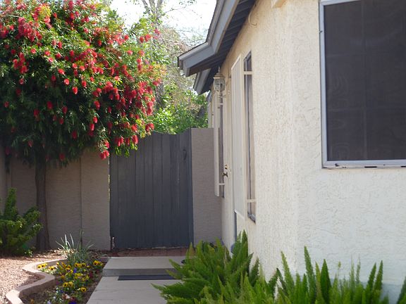 Side Walk to Front Door