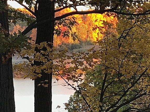 3rd image of 5387 Woodland