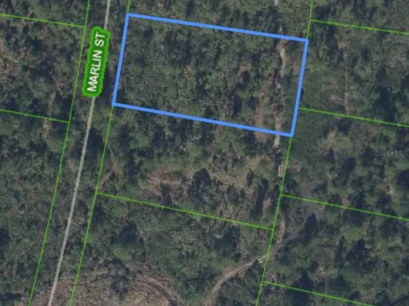 745 Marlin St Lot 13, Lake Placid, FL 33852