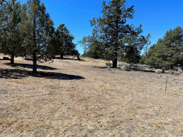 Unit 1 Brook Ln Lot 69, Weed, CA 96094