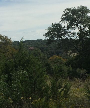 4th image of 351 Cliffview Cir