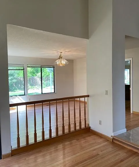 335 Live Oak Dr — Photo 21