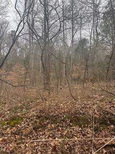 0 O'Lick Creek Rd #O, Lyles, TN, 37098