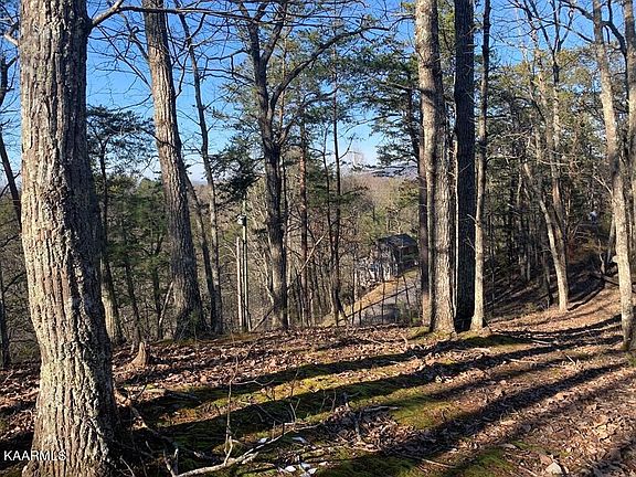4th image of Dogwood Loop Dr