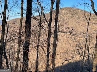 25 Mountainside Ct, Cleveland, GA 30528