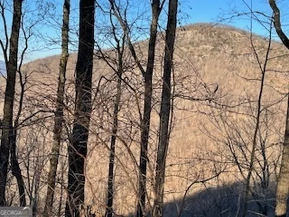 25 Mountainside Ct, Cleveland, GA 30528