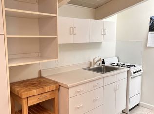 1005 Waters Ave #A, Aspen, CO 81611