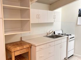 1005 Waters Ave, Aspen, CO
