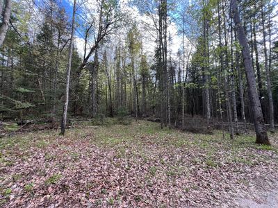 Ripco Rd, Eagle River, WI, 54521