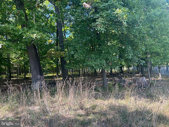4th image of 0 Werkheiser Ln