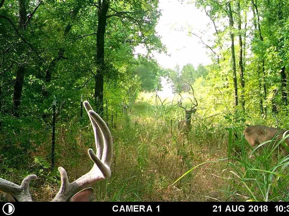 1st image of 0 E County Road 27220