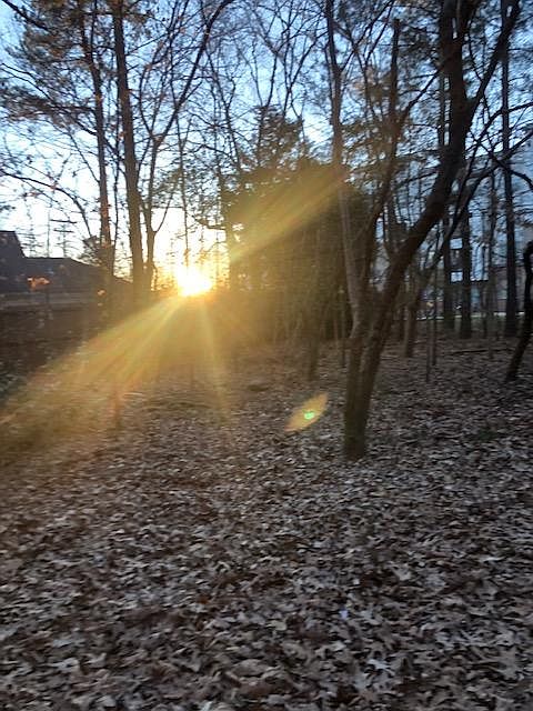 Backyard sunset in February