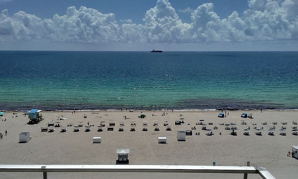 1st image of 465 Ocean Dr APT 1115
