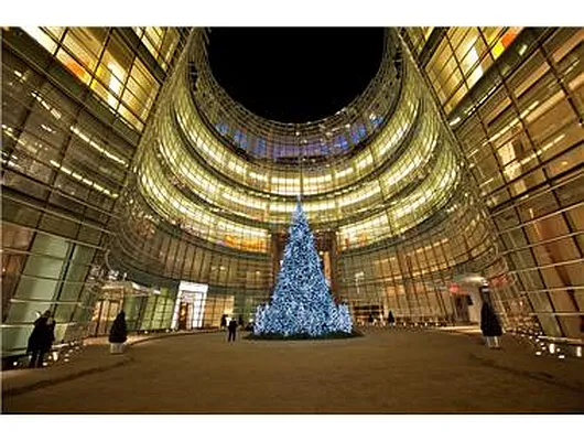 Rented by Douglas Elliman | media 16