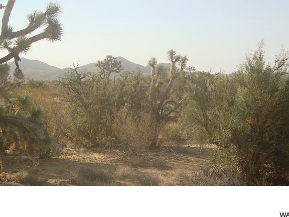 4th image of 48 Palo Verde Dr Lot 48