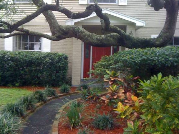 Classic Colonial w/ Live Oak