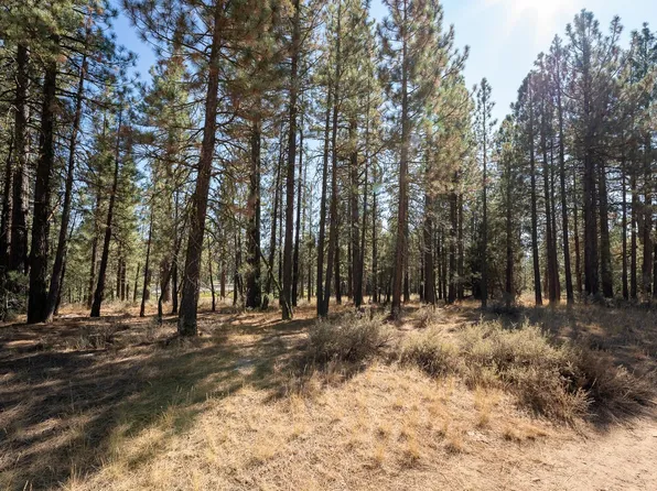 815 2nd St, Portola, CA 96122