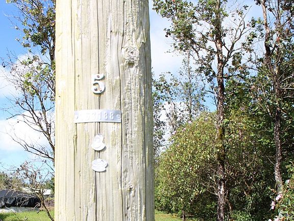 5th image of Tree Fern Dr Lot 25