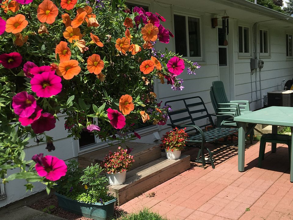 back patio