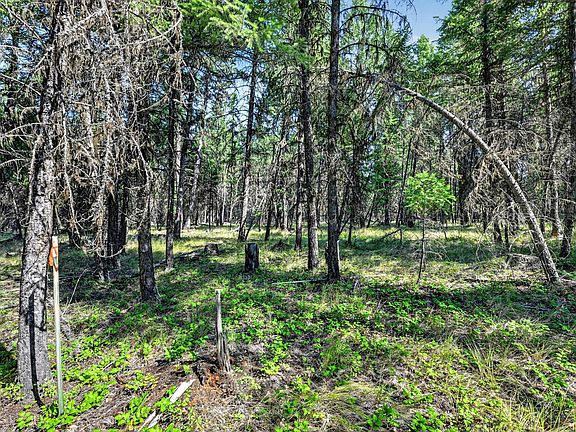 2nd image of LOT 4 Forest Ridge Rd