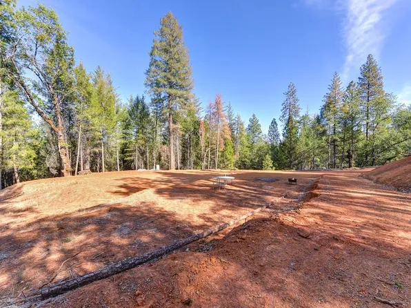 1165 Dog Bar Rd, Colfax, CA 95713