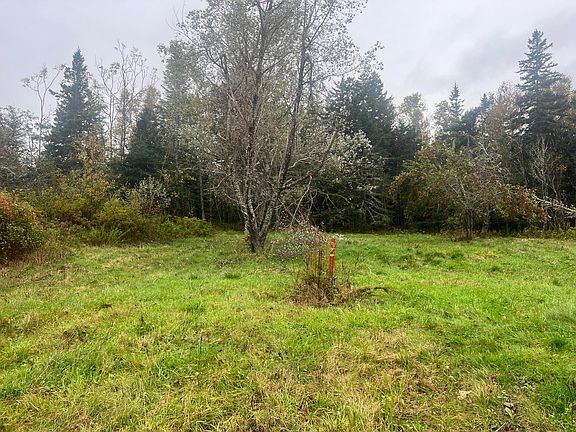 3rd image of 113 Looks Point Road