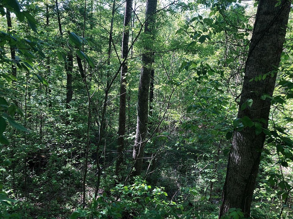1st image of Black Oak Dr