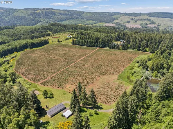21000 Strawberry Flats Ln NE, Scotts Mills, OR 97375