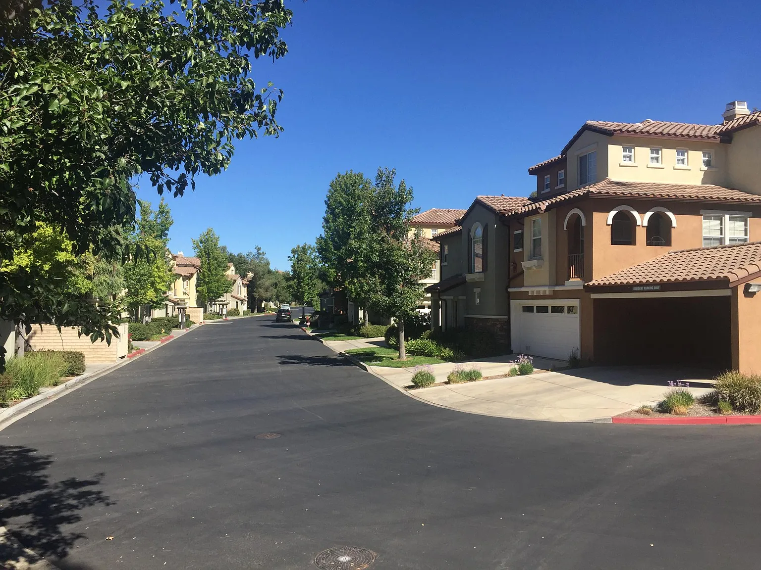 2 bed, 1332 sqft, $3,000 — Photo 3