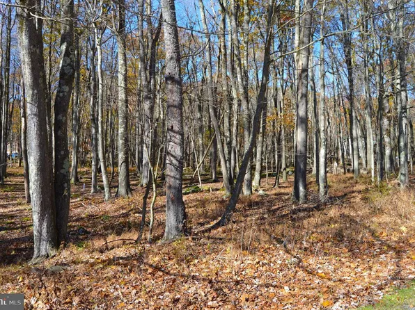 181 E Alpine Dr, Terra Alta, WV 26764
