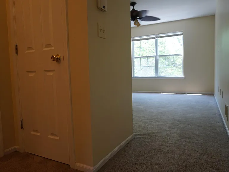 44 Dewitt Ln — Photo 18